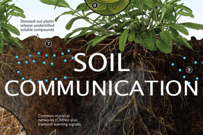 Soil Summit Tracks-Soil