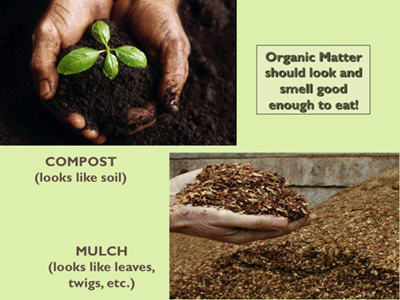 Watershed Approach 7