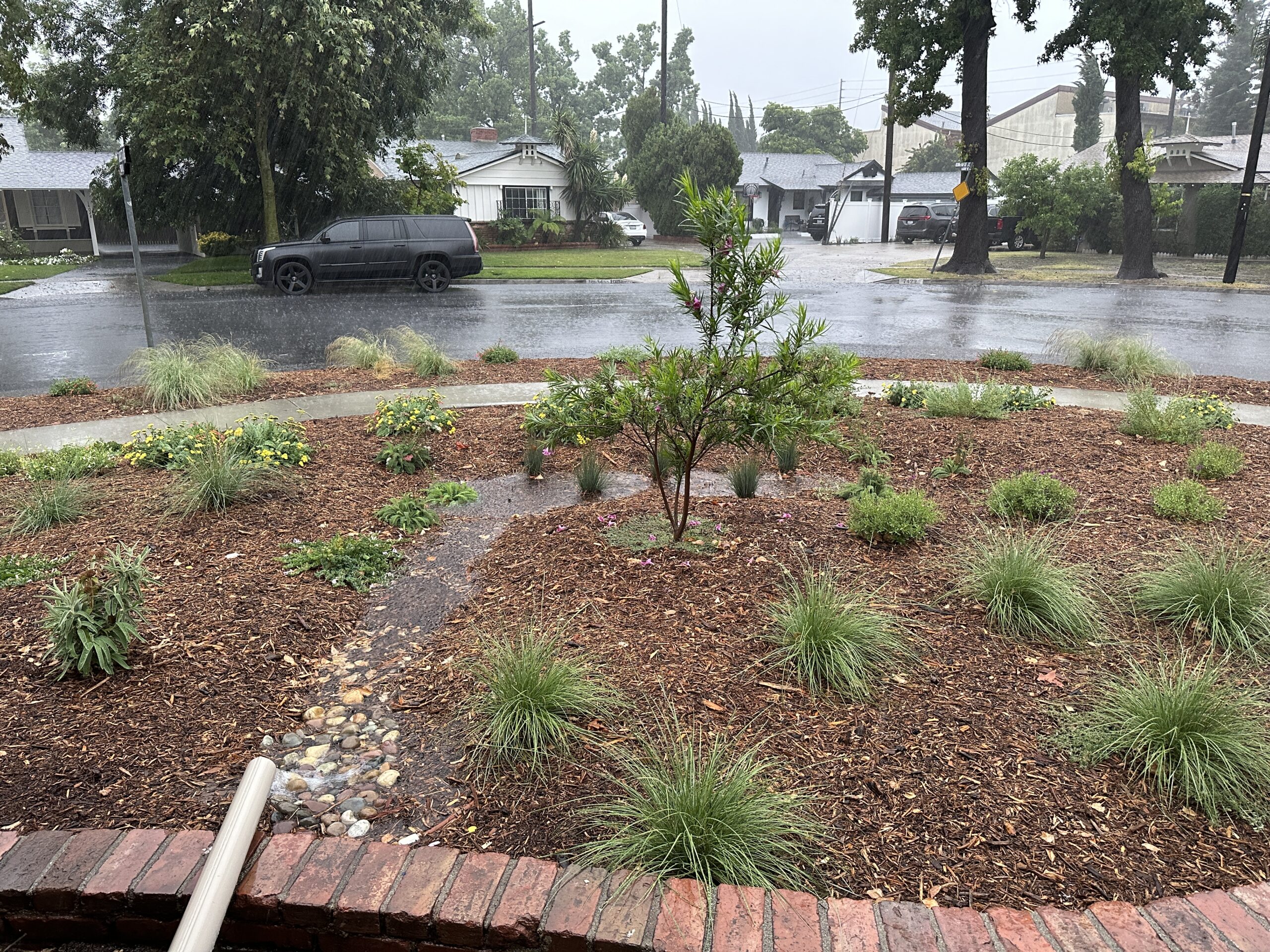 Rainwater is Free - Catch It! Use It! - CalAm_Monterey