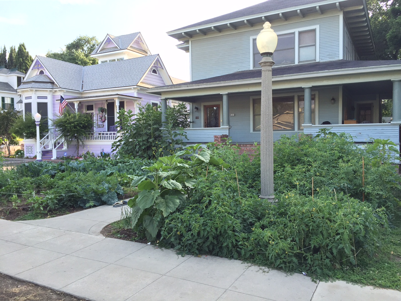Edible Gardening, IN PERSON, La Mirada_WRD