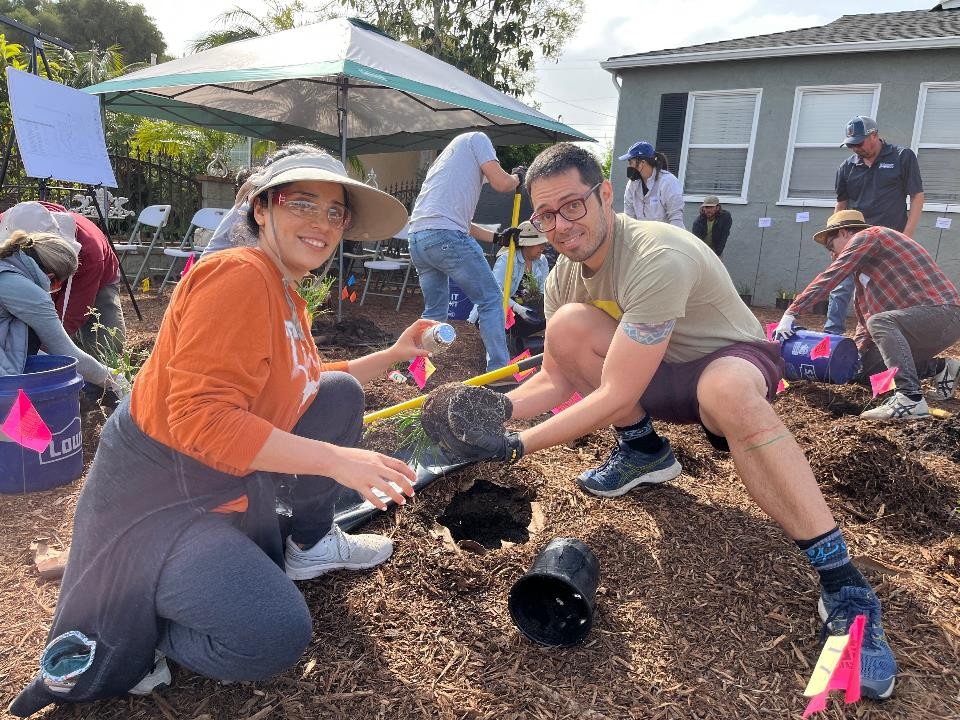 Lawn Transformation on a Budget - Valley Water