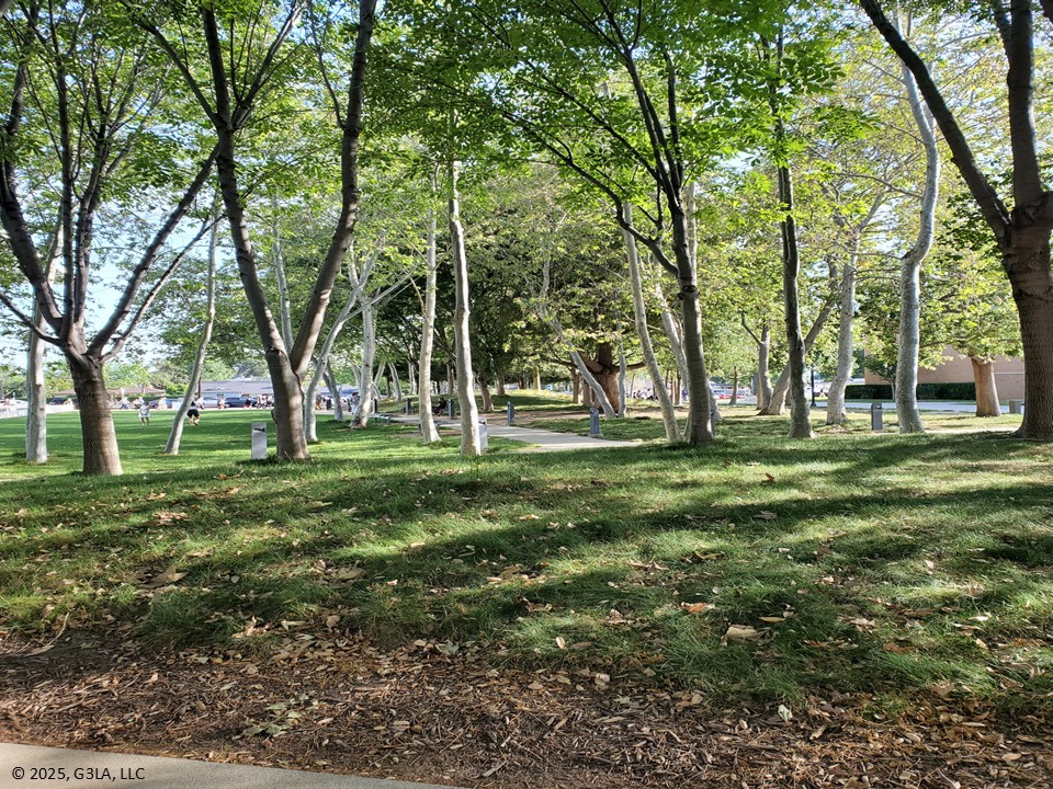 Protecting the Trees - Upper Water