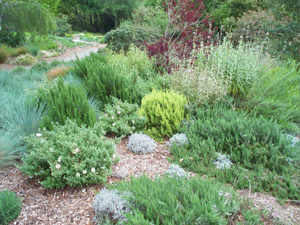 Abundant Gardens with Graywater - Valley Water