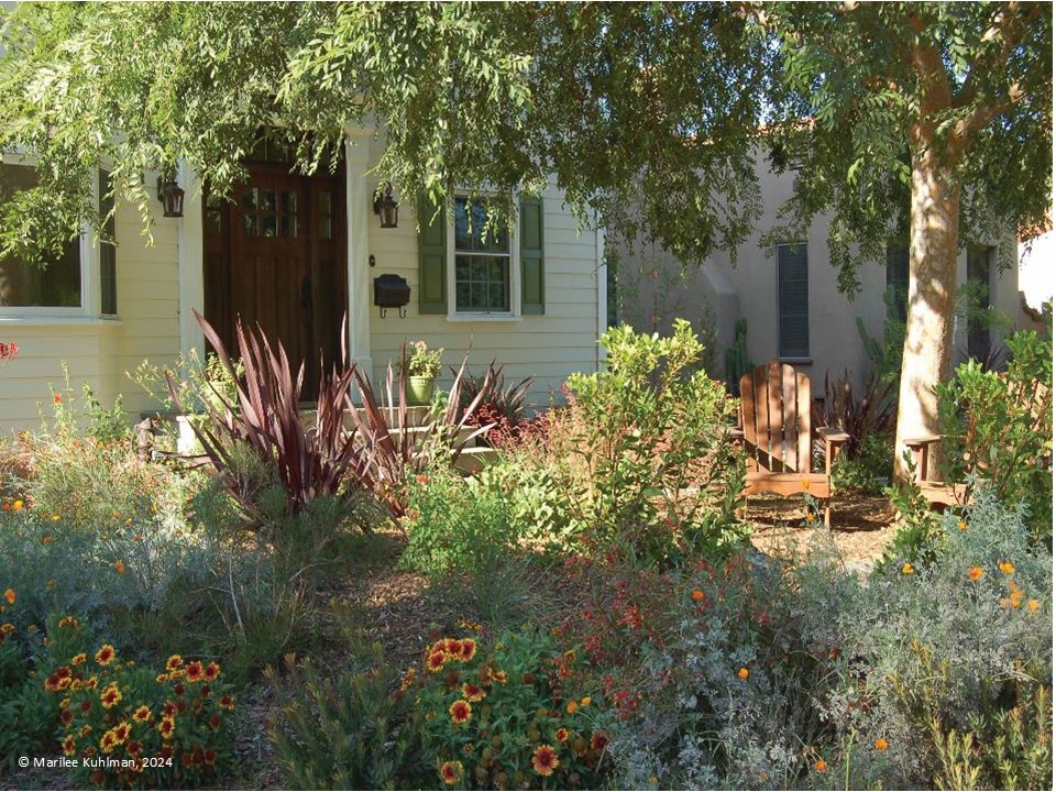 Garden Design - San Diego County