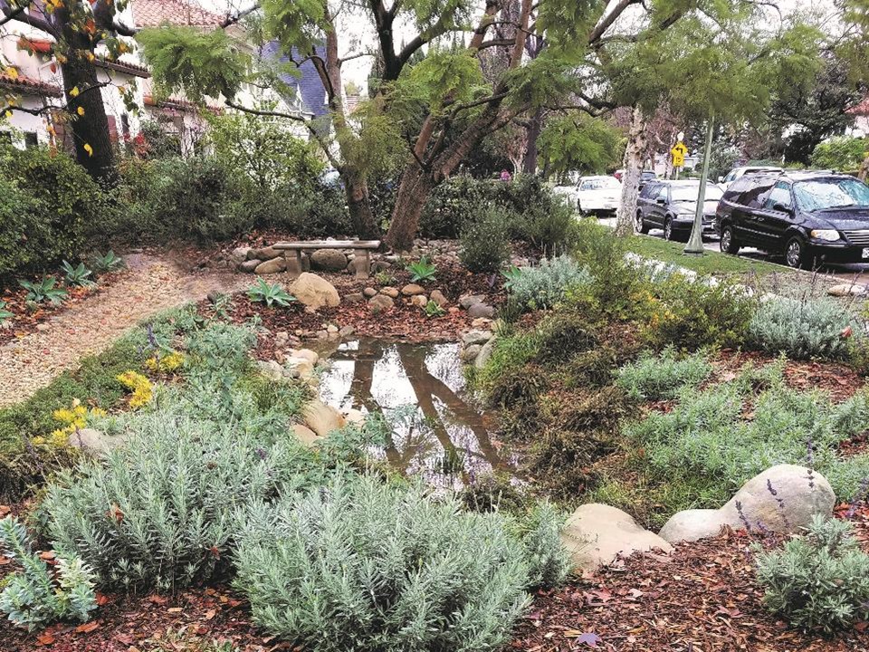Watershed Wise Landscaping, IN PERSON, Cal State, Dominguez Hills_WRD