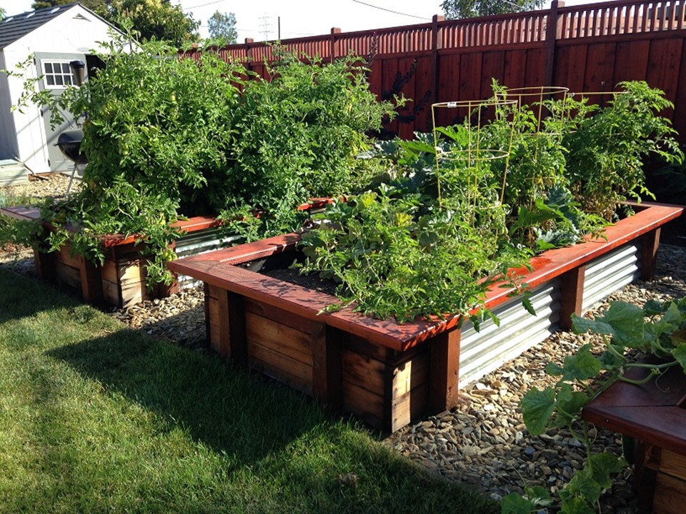 Containers and Planters, IN PERSON, Urban Orchard Park_WRD
