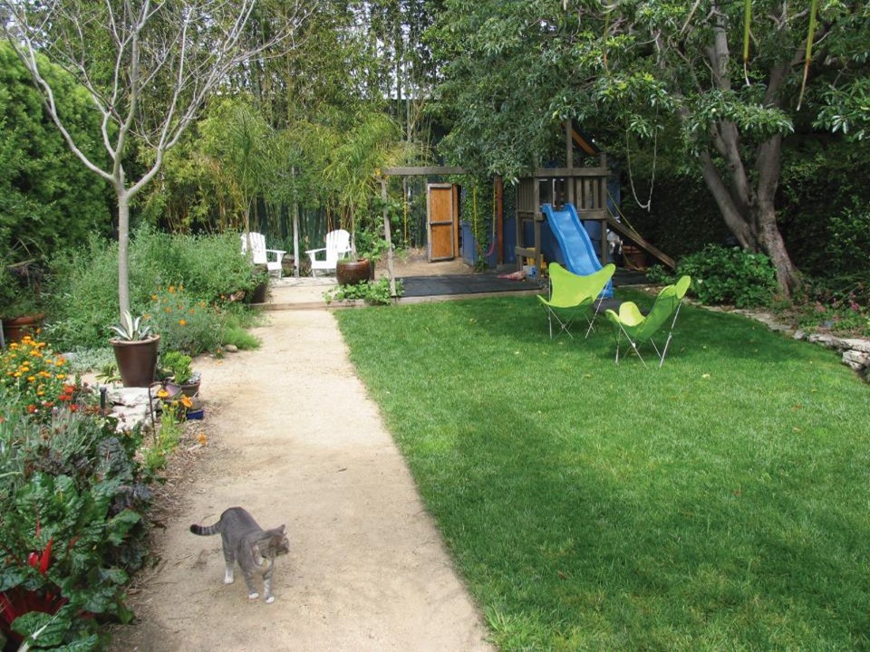 Lawn Care and Maintenance - WRD