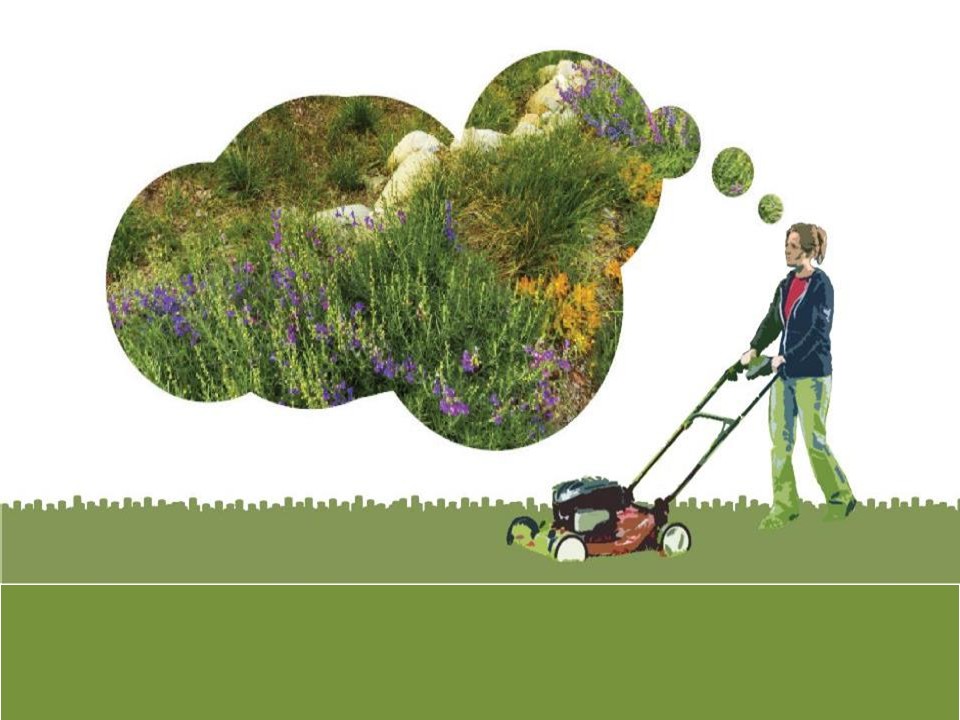 Turf Transformation: Keep, Kill and Replace Lawn - WRD