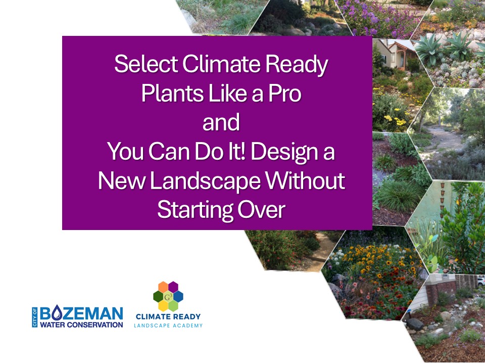 CRLA Select Climate Ready Plants Like a Pro and Design a New Landscape - Bozeman, MT