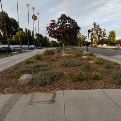 Image for choice number 1