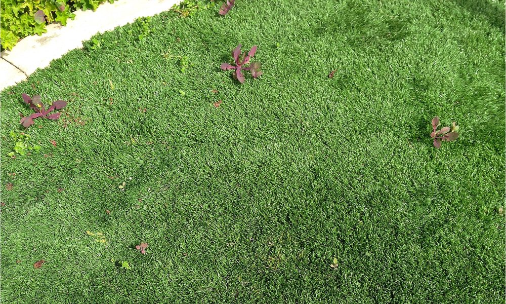 Far from being no maintenance, artificial turf grass needs maintenance on a regular basis