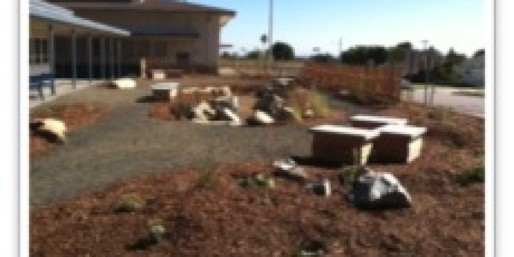 Ocean Friendly Garden for Midtown Ventura Community Council