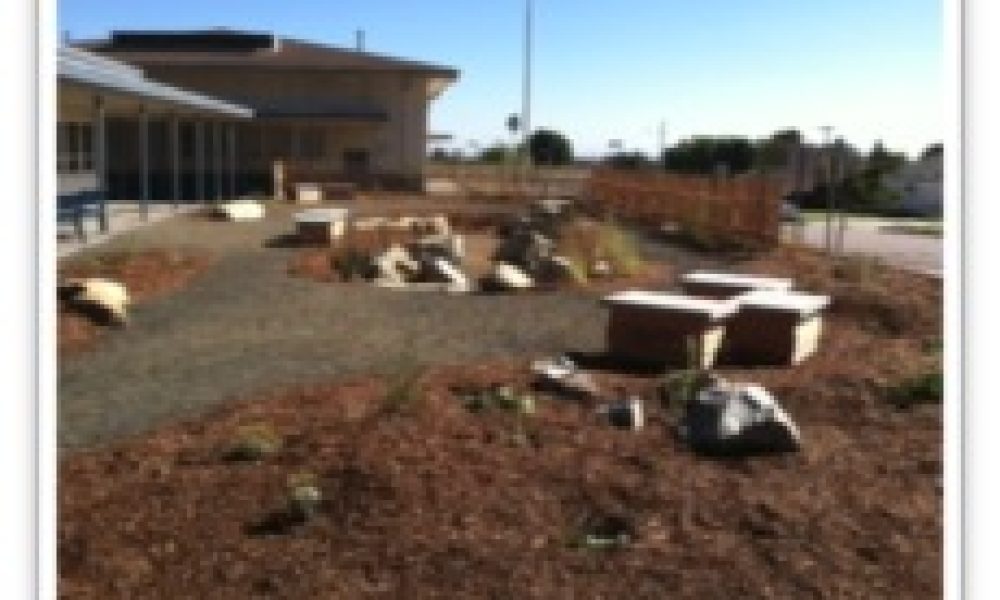 Ocean Friendly Garden for Midtown Ventura Community Council